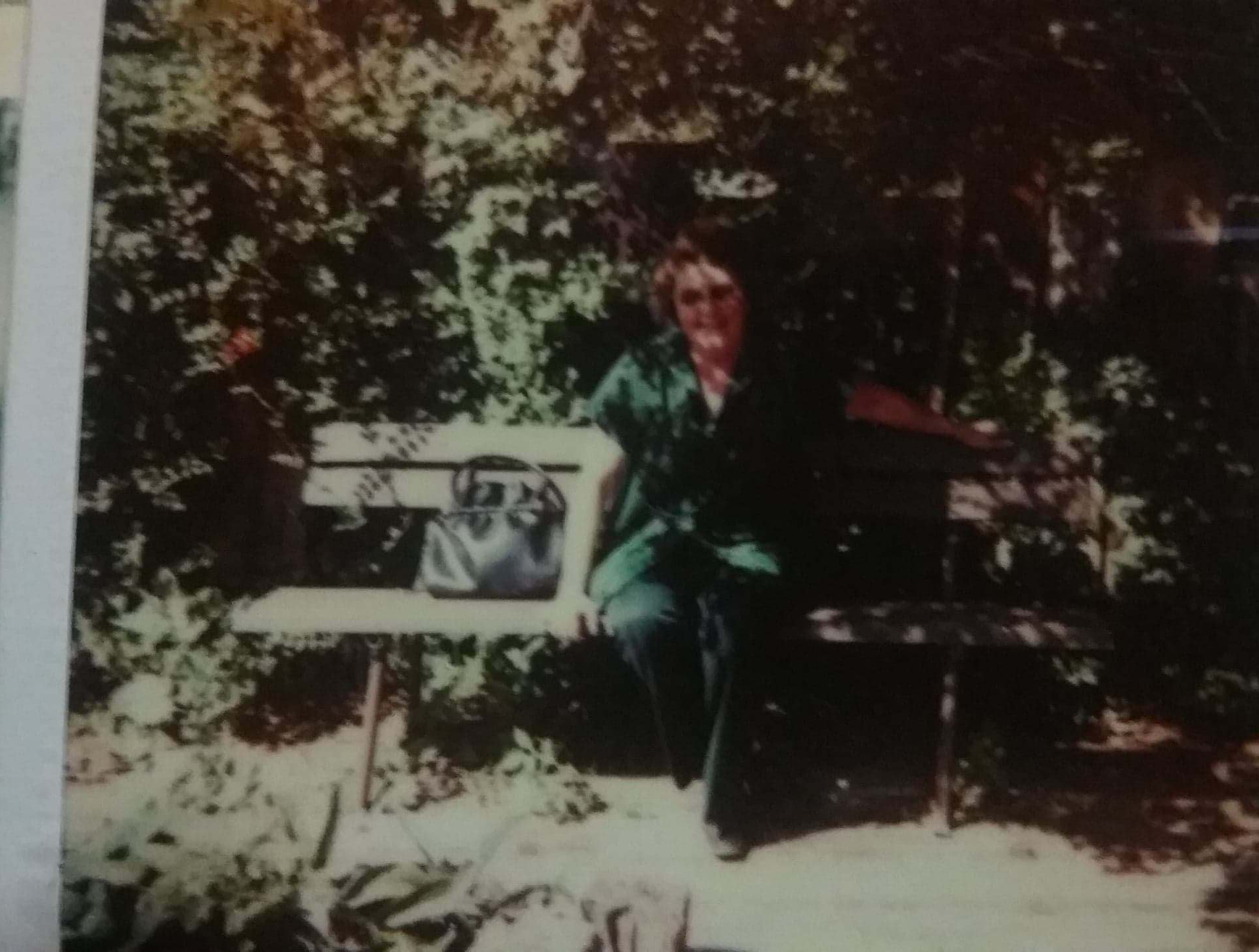 60507196_433948057390566_7293315980023824384_n